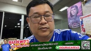 ทีเด็ดแมวเพชร